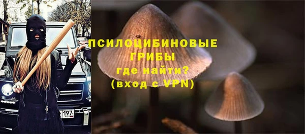 ГАЛЛЮЦИНОГЕННЫЕ ГРИБЫ Покров