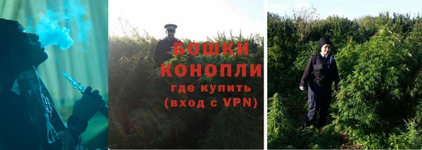 крисы Белокуриха