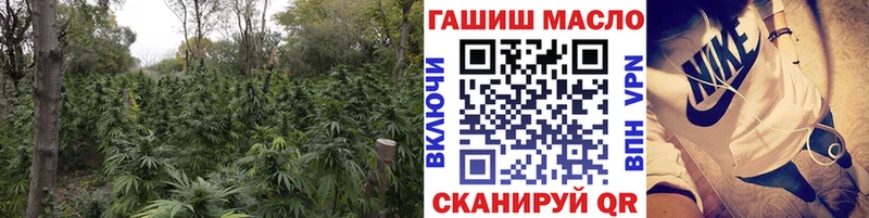 купить   Сковородино  Дистиллят ТГК THC oil 